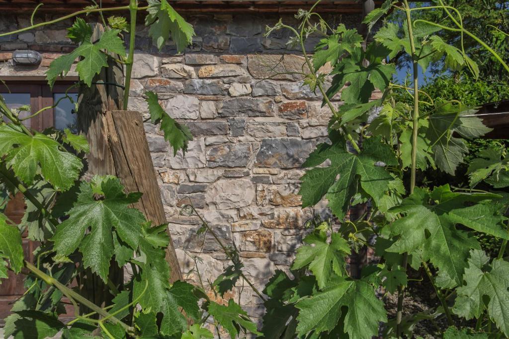 Gasthaus Relais Santa Cristina Radda in Chianti Exterior foto